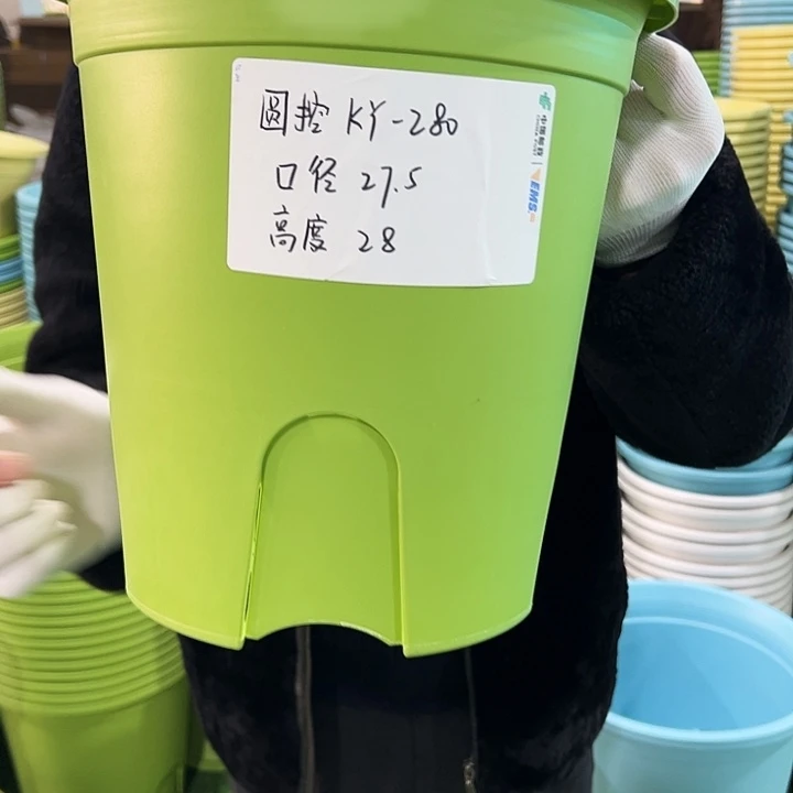 正品圆控口27高28果绿5只无托