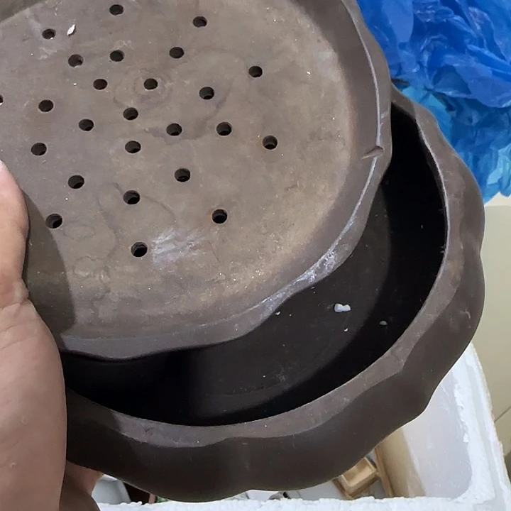常***∞扇子tughghghvhvbv