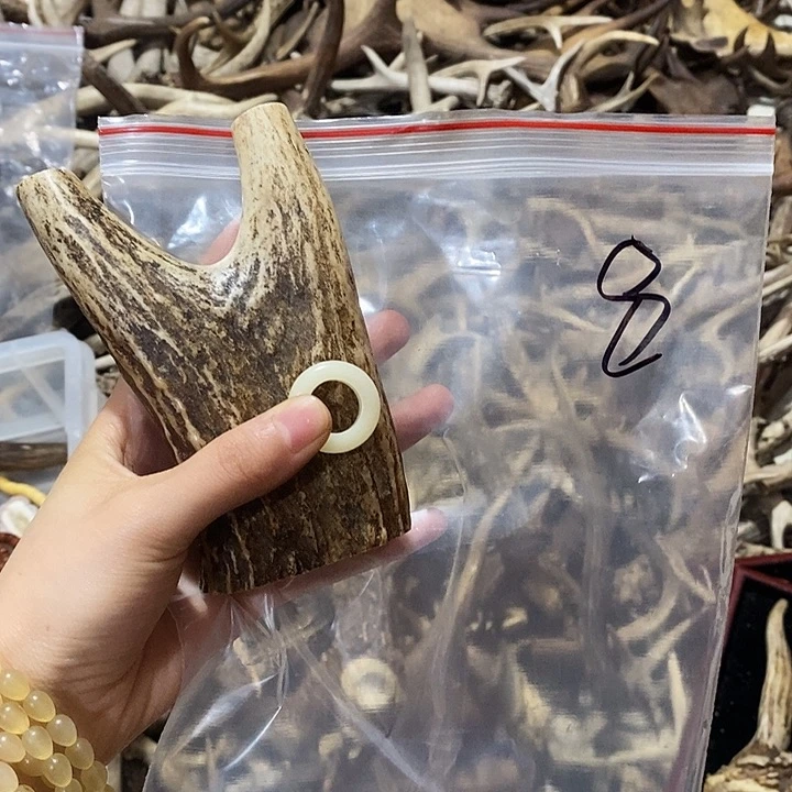 坚***鹿骨骨骨鹿骨和鹿角鹿角鹿角鹿