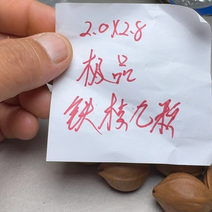 橄榄核手串/手链华**上橄榄核2.0✖️2.8