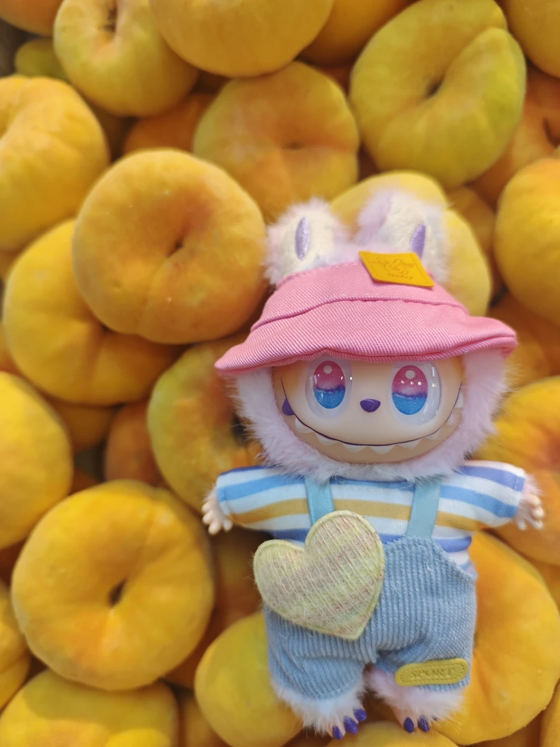 娃衣拉布布123代春意盎然ins风（不含娃）