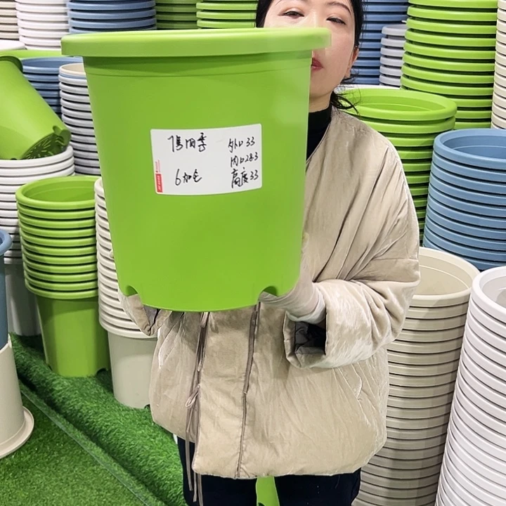 特价7号四季口33高33白色6只无托