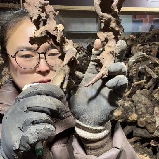 香榧木早***！火琉璃的故事毛料摆件