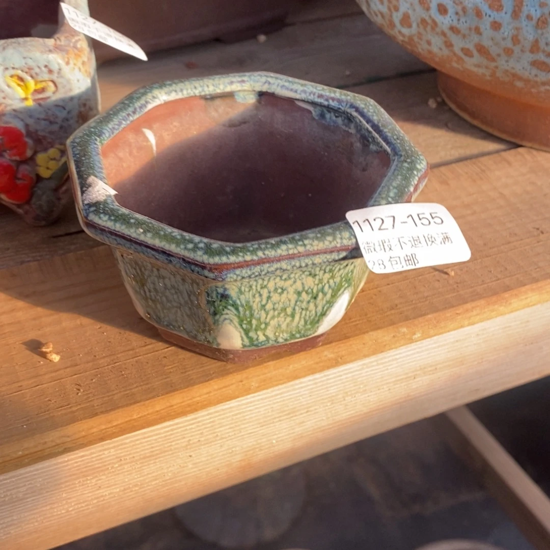 歪***歪155号多肉盆口径8