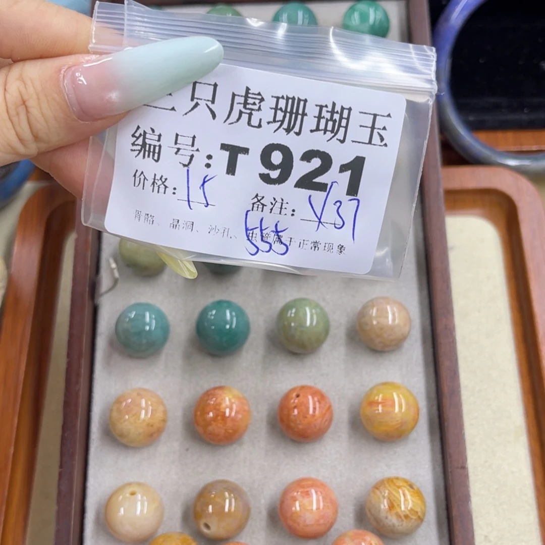 脆***猫硅化珊瑚（珊瑚玉）h未镶嵌