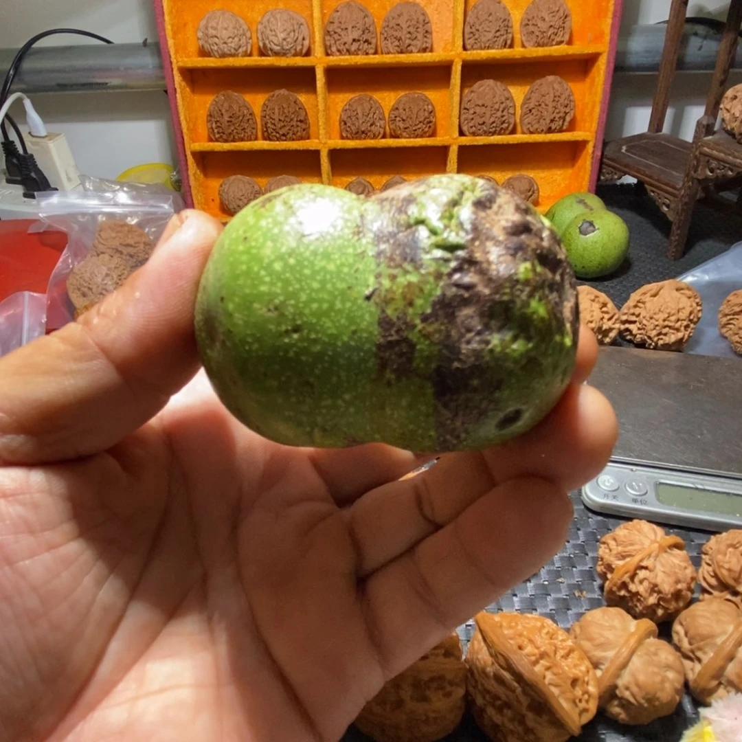 吊坠文玩核桃毁*啥都不保，不退不换，白狮子青皮半壁