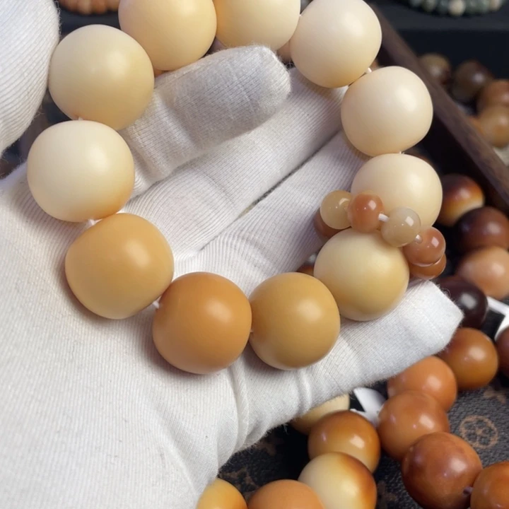 菩提根/象牙果吊坠花**?