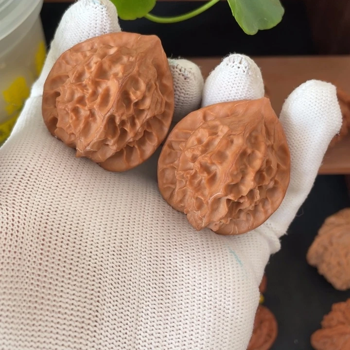 木秦岭核桃的公子