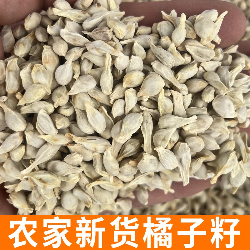 橘子籽 半斤装 农家新货 好货 颗粒饱满