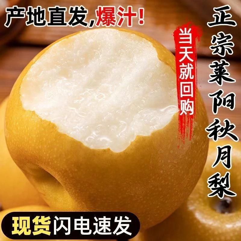 正宗山东秋月梨梨子净重4.5斤当季应季新鲜水果整箱 脆甜无渣