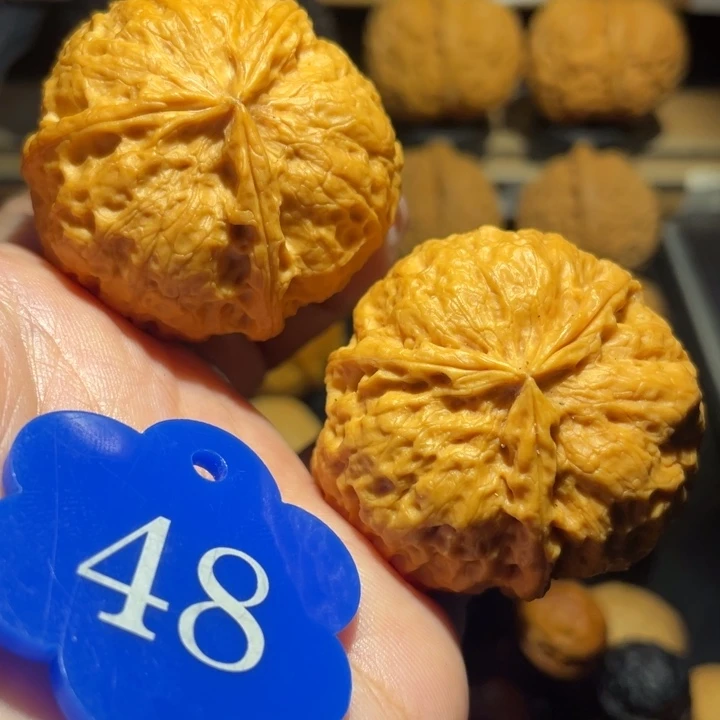 朴***风龙爪三棱核桃尺寸43