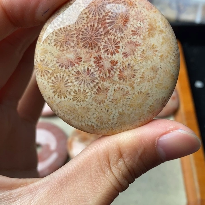 硅化玉颈饰未镶嵌人**年