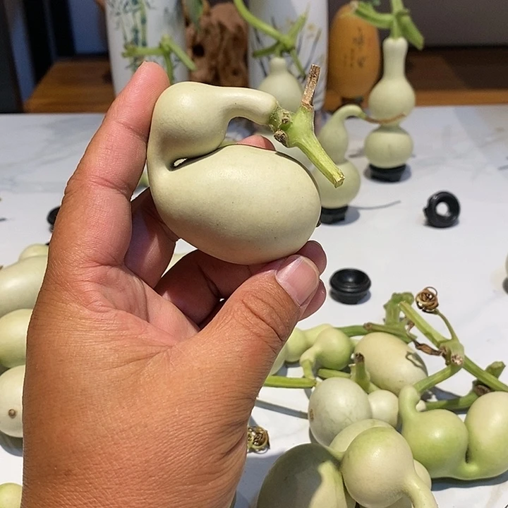 日***暮精品葫芦手把葫芦14