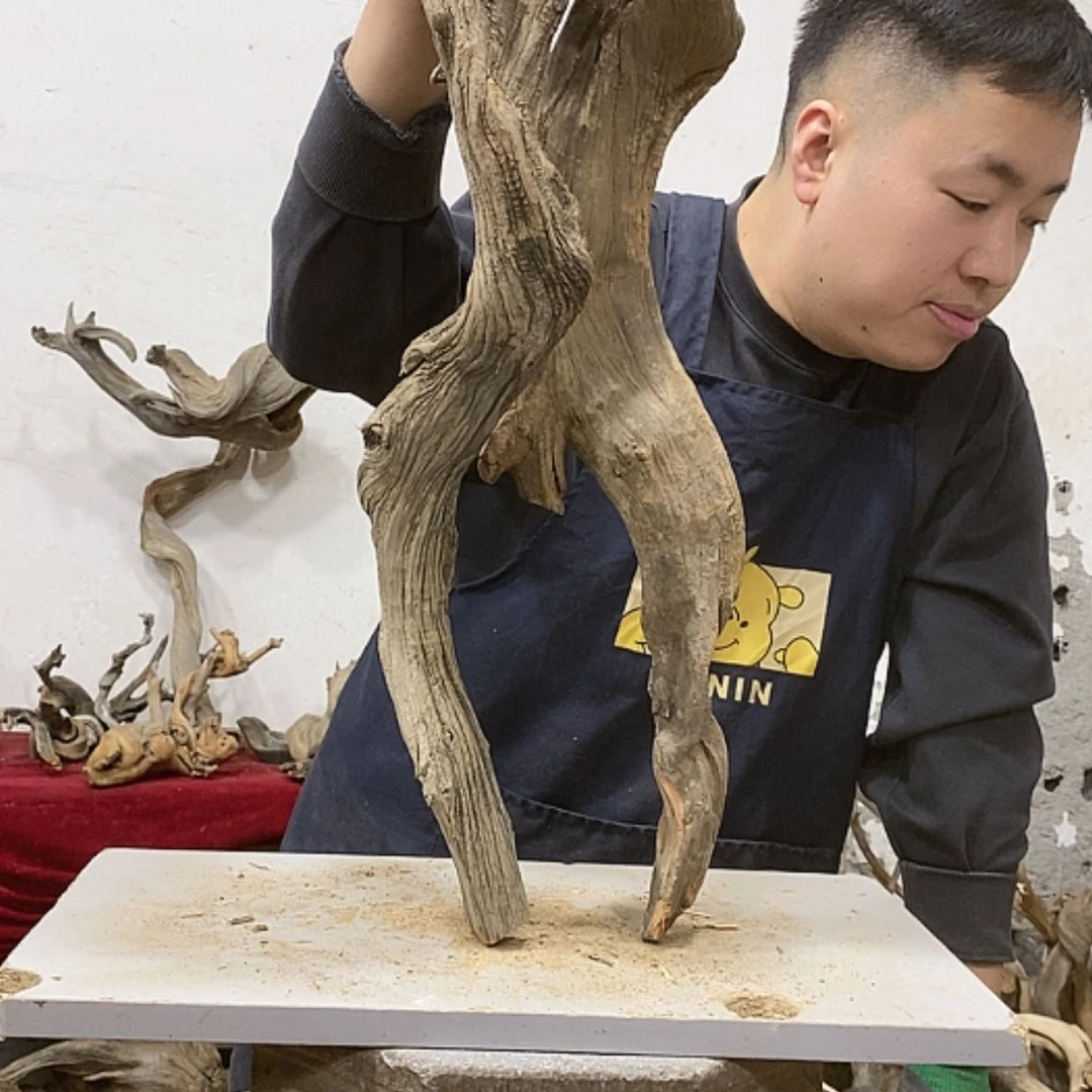 【闪购商品】柏木用****1我们都是好孩子