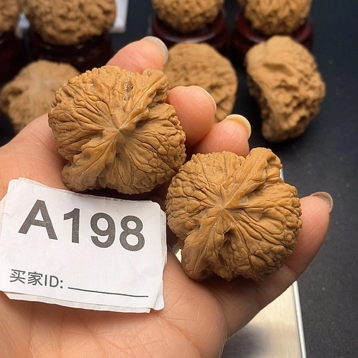 核桃南疆4.1，有修