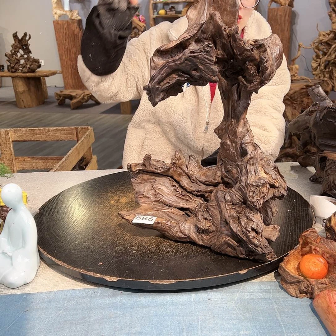 木似*586 hbgbugdegghh