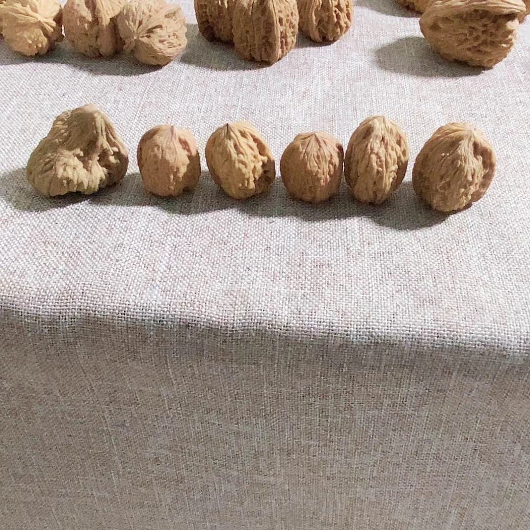 木质类今天的天气真的