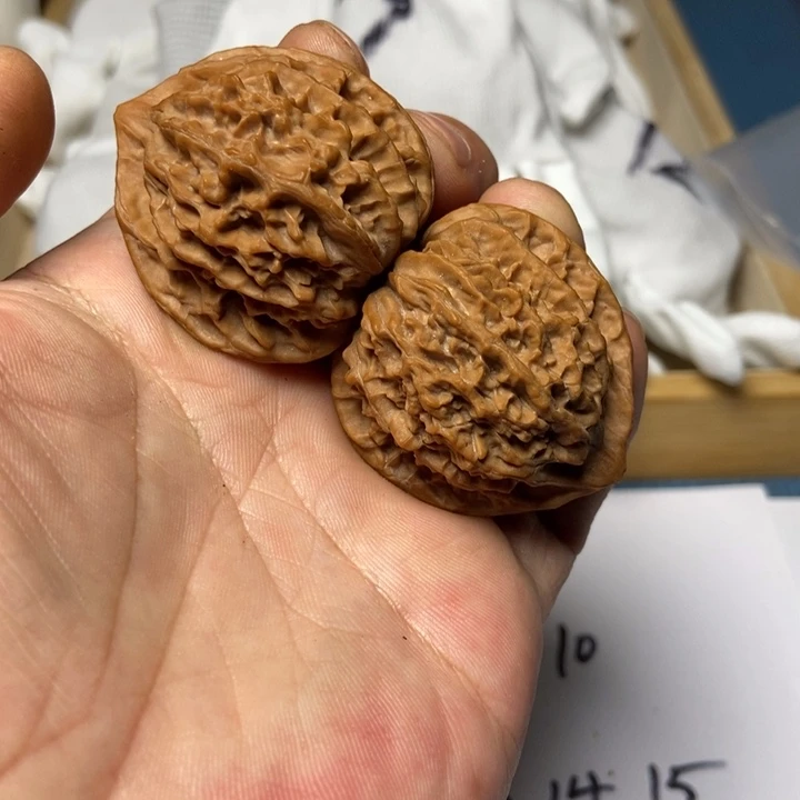 文玩核桃把件11号核桃