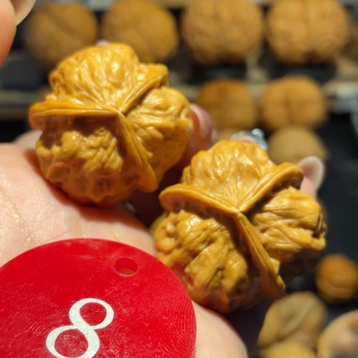 龙骨三棱核桃尺寸34