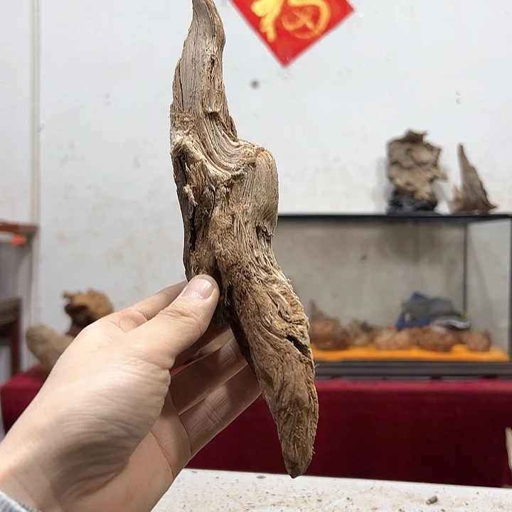 柏木用****1我们都是好孩子啊哈