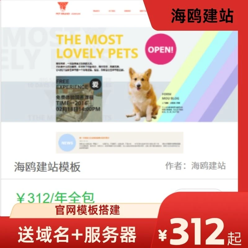 外贸网站建设 小程序官网商城 1 天上线 含 COM 域名一年售后