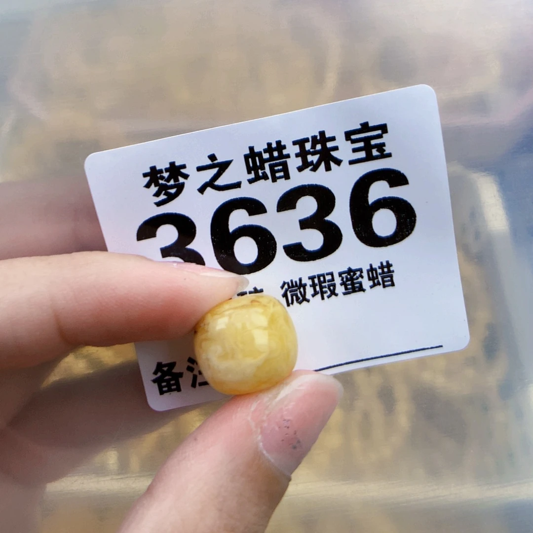 琥珀未镶嵌珠宝奇石14.3×13植物