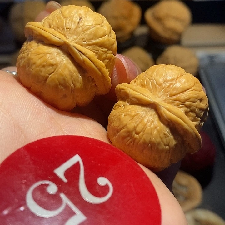 核桃小星球球尺寸31