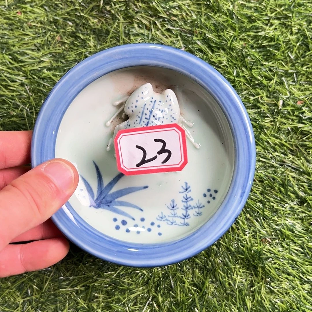 摆件瓷器，摆件，工艺品