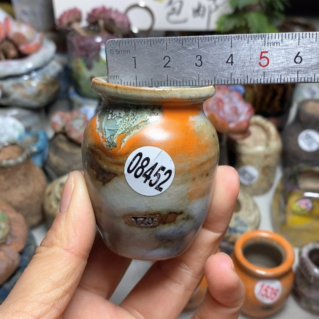 花盆拍5送一个小礼物