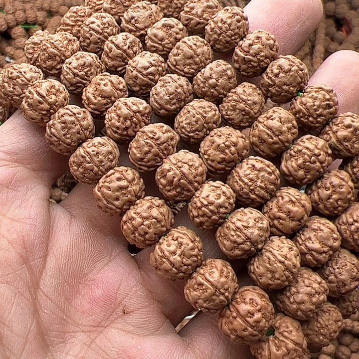 金刚菩提手串君*树王