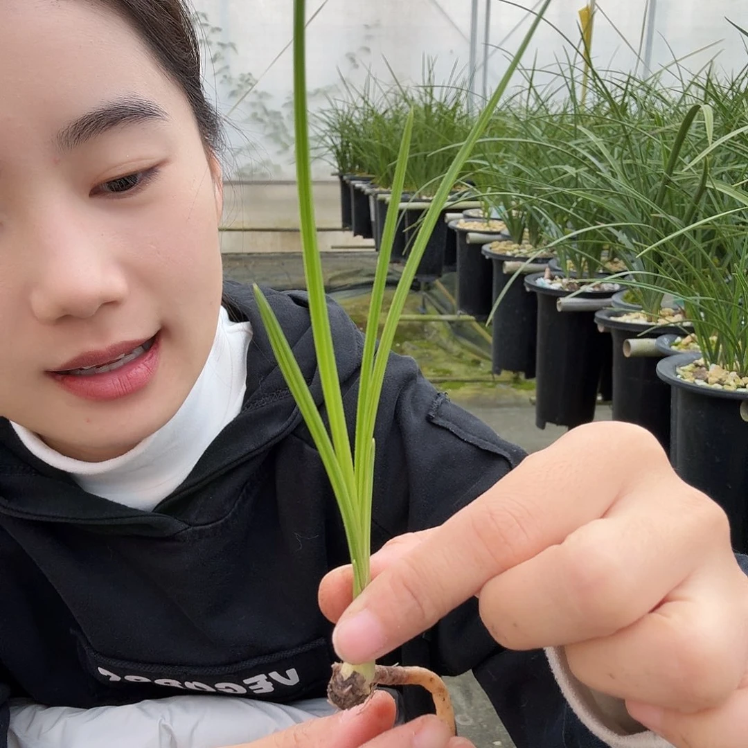 成***这完全开放123456800