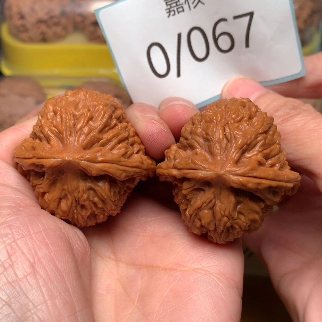 文玩核桃把件红皮南疆石40