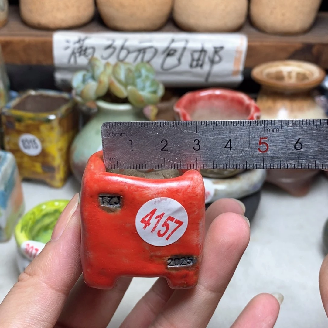 晒*?拍3送一个小礼物