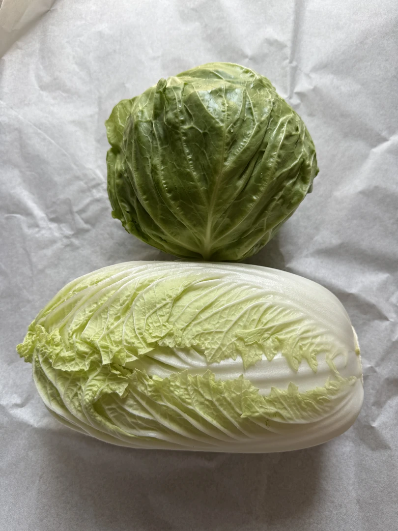 生态种植白菜甘蓝现采现发4.5斤装