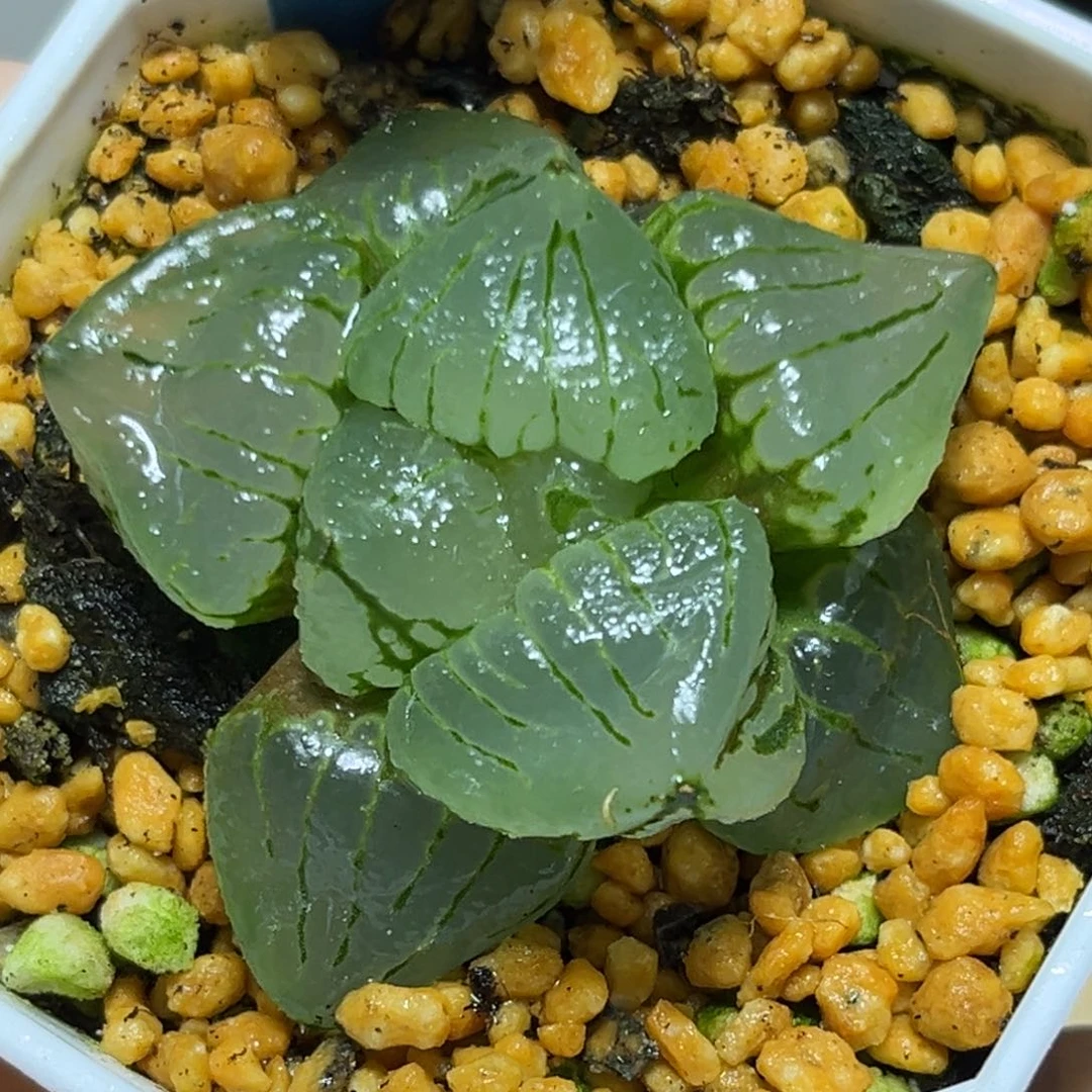 恭喜发财大吉大利789