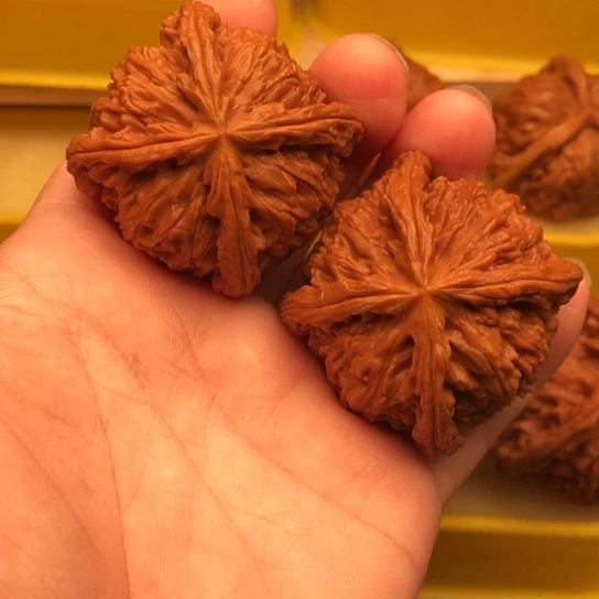 红***型文玩核桃吊坠核桃