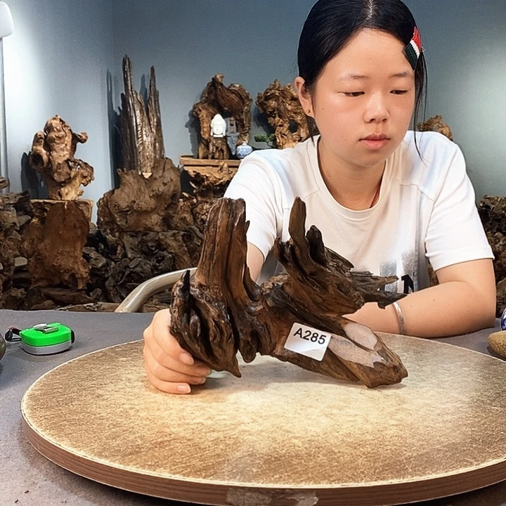 茶盏285株木随行的小根艺