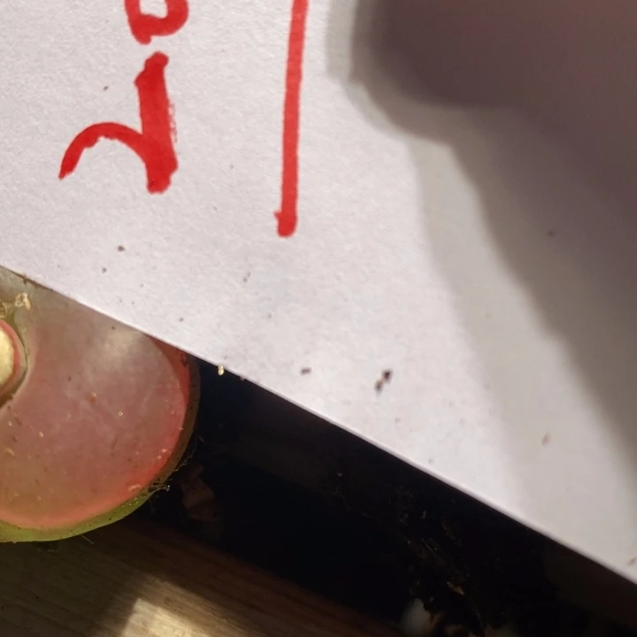 K20218一组一组一组