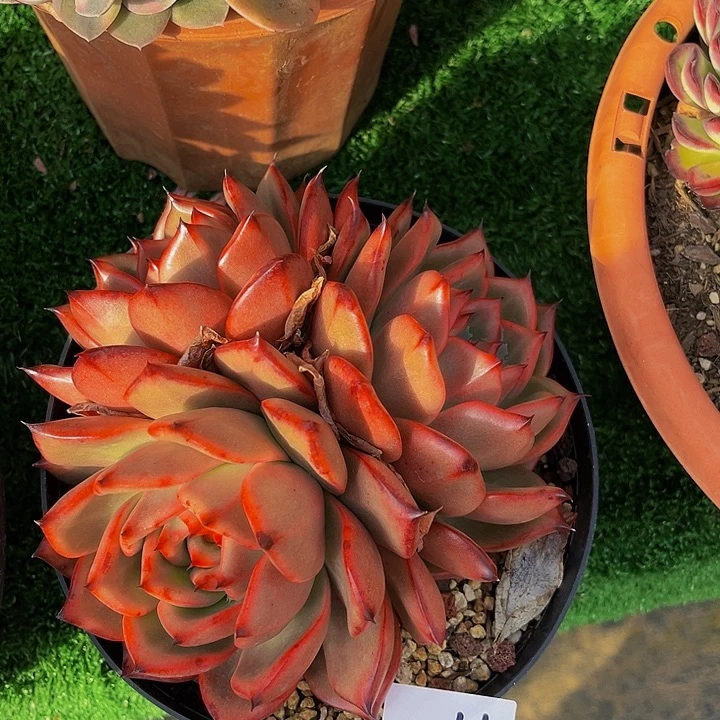 暮*壮。壮头群0266