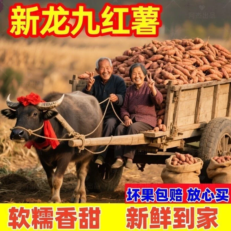 [沙地红薯]超甜糖心蜜薯板栗红薯新鲜甜糯粉糯山芋黄心地瓜