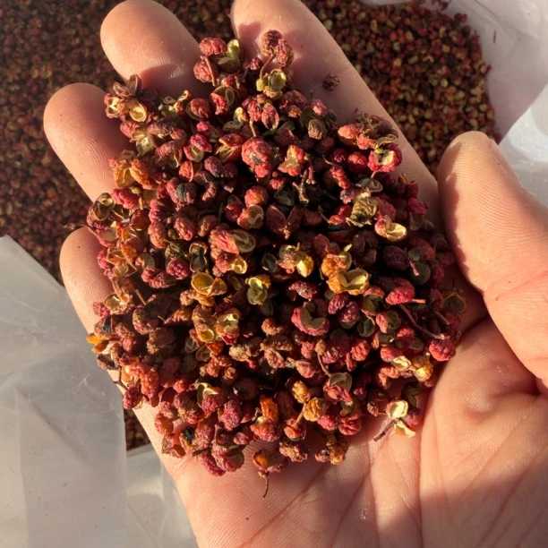 陕西精品大红袍花椒半斤装