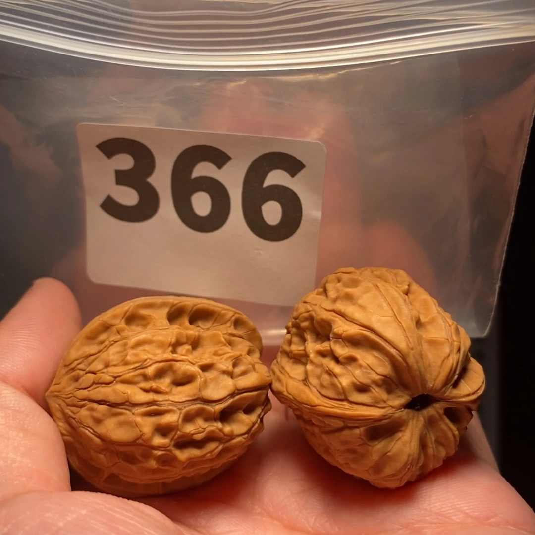 文玩核桃把件文玩核桃把件