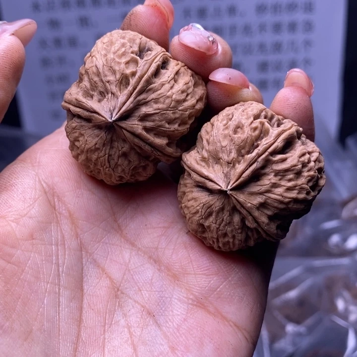 核桃云南野生铁核桃189号35mm