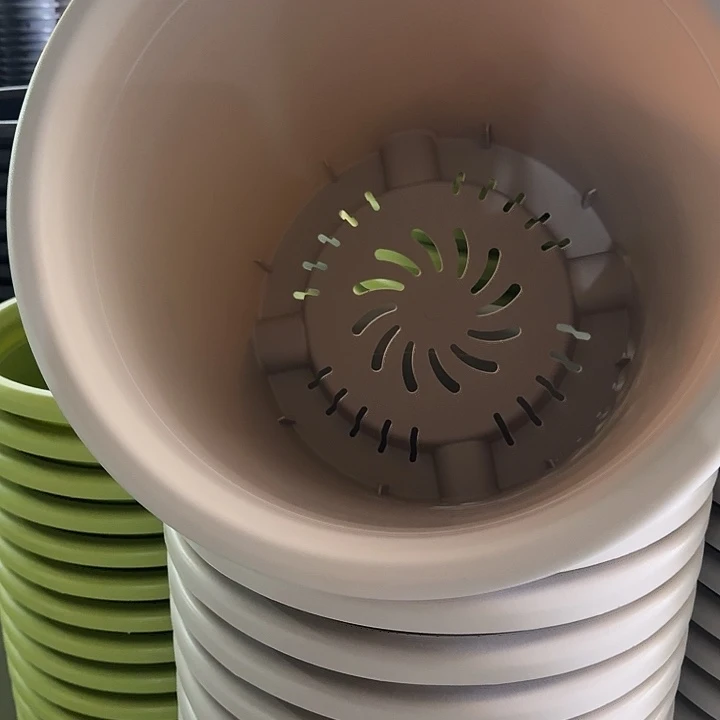 四季9号灰白无托3个特价微瑕