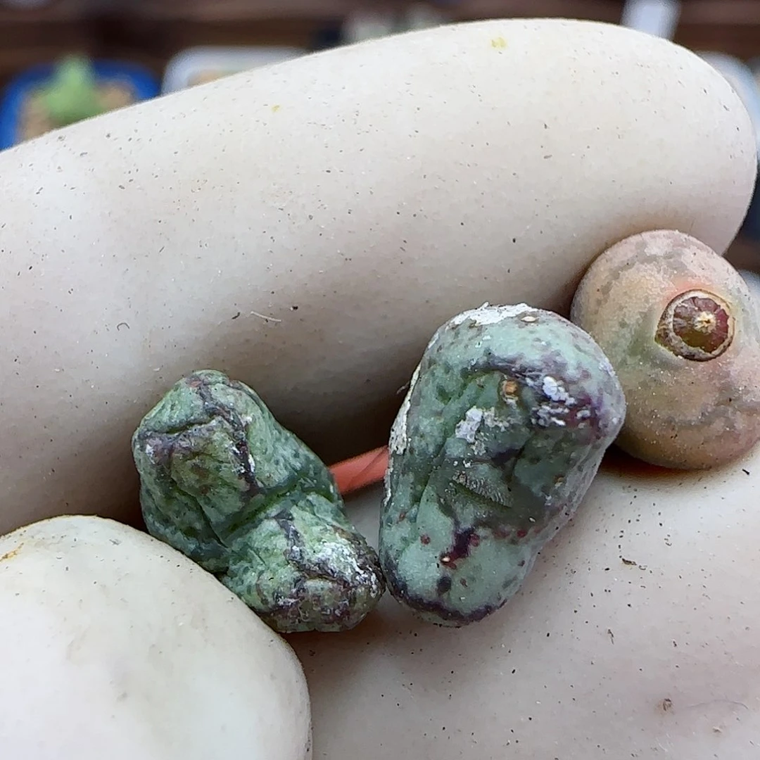 369福利福利福利