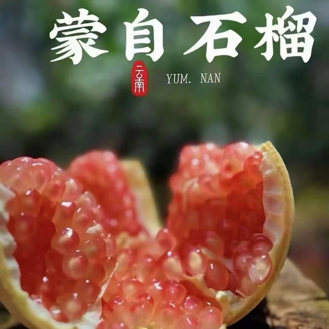 云南蒙自高山水晶石榴新鲜采摘当季水果爆汁