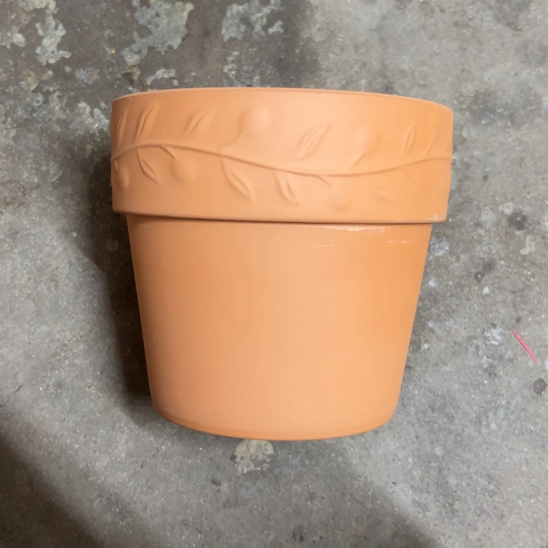 橄榄16口14高1个【微瑕】