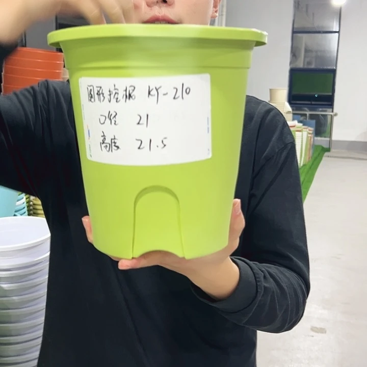 正品圆控口21高21混色8只无托