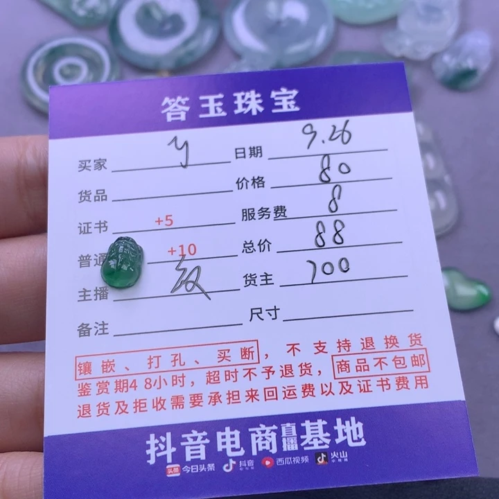 颈饰未镶嵌翡翠y*环