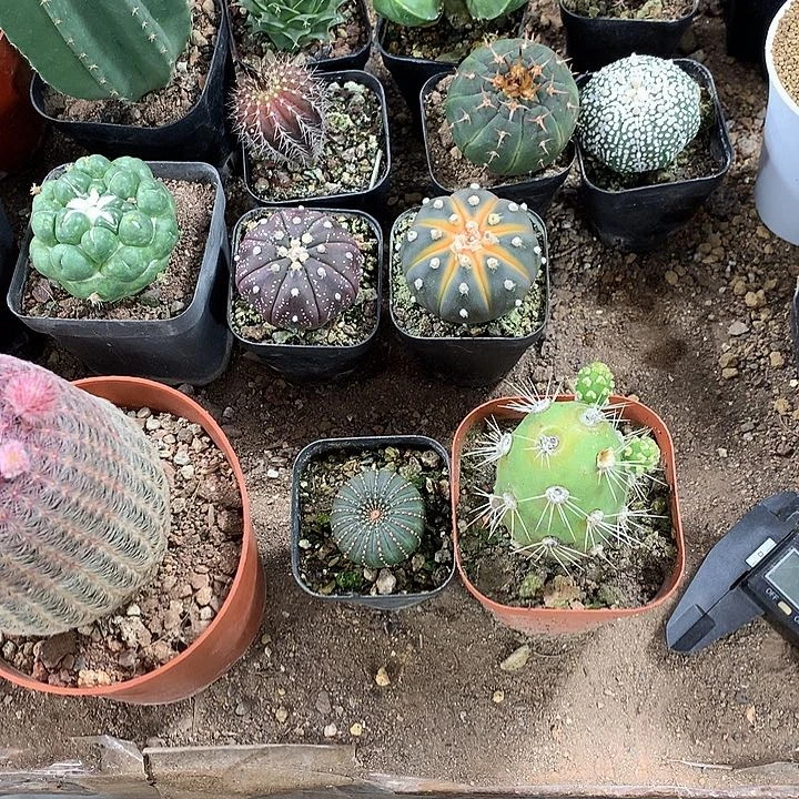 艾*3333333333333333